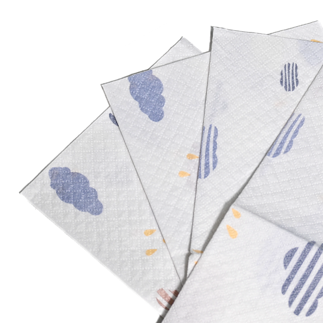 Suport de unică folosință pentru masă 30x40 cm Apfia Care, pachet 30 bucăți [4]