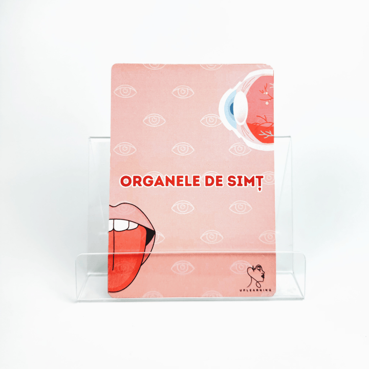 Cap 12 Organele de simț