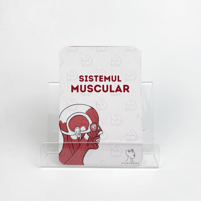 Cap 9 Sistemul Muscular [1]