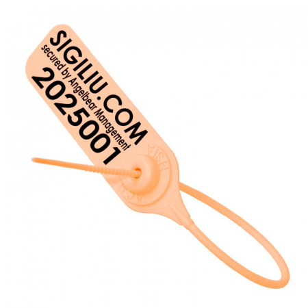 SET 100 sigilii plastic ANGELBEAR antifurt cu inchidere rapida, etichete pentru sigilare haine, incaltaminte, bagaje, ambalare [6]