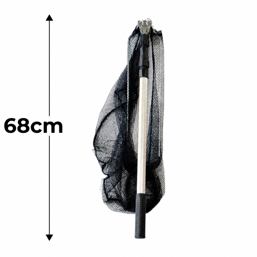 Minciog mic [3]