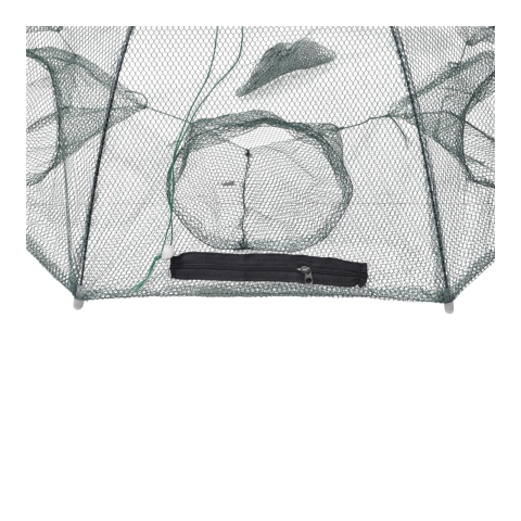 Vârșă tip umbrelă [1]