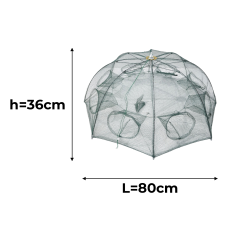Mincioguri - Vârșă tip umbrelă