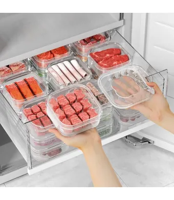 Caserola Alimentara [1]