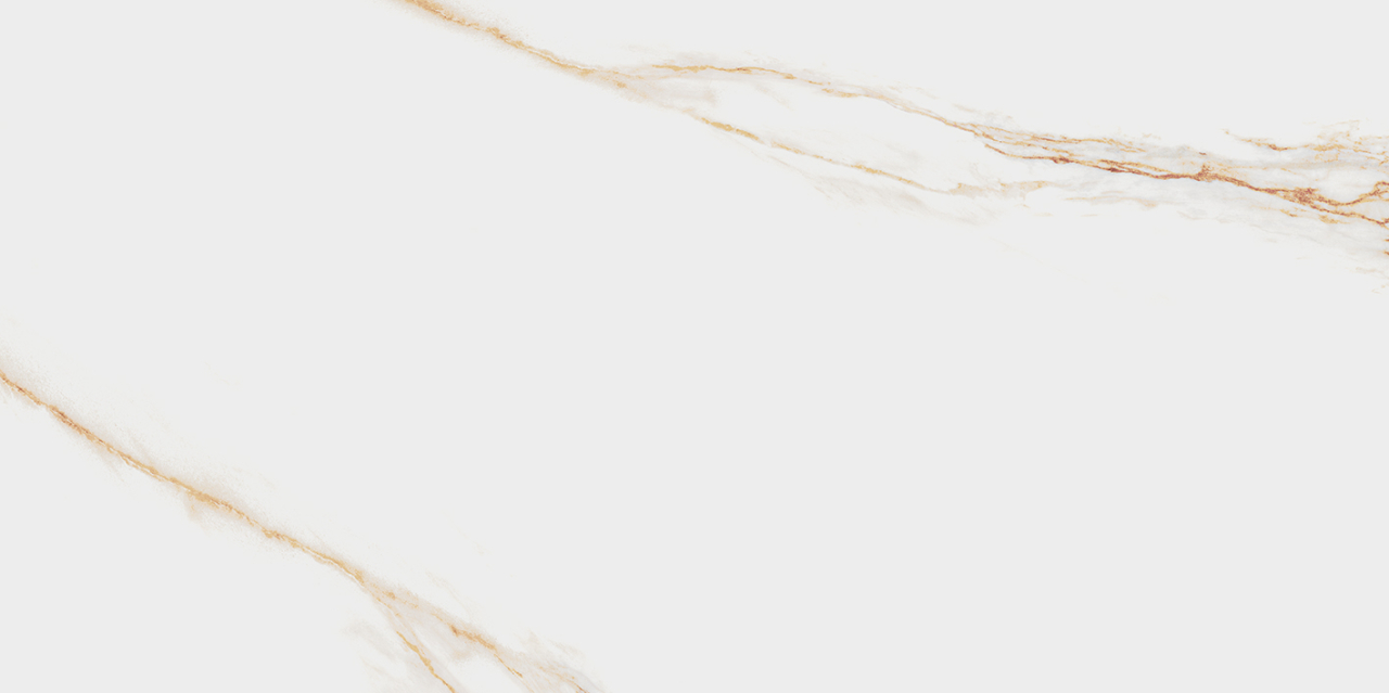 Gresie/faianta Leo Gold 60x120cm,portelanata,rectificata,satinat [4]