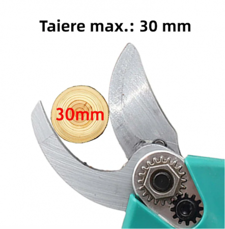 Foarfeca Electrica pentru Gradinarit cu 2 Acumulatori 48V, cu Lama din Otel Carbon, Baterie 9700mAh, Accesorii si Valiza Transport [4]