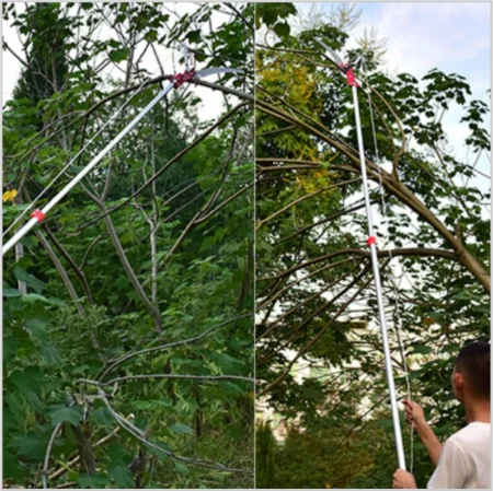 SFoarfeca cu cioc si lama fierastrau de taiat la inaltime [5]