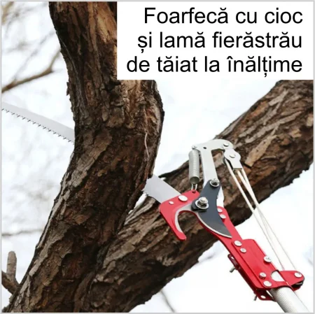 SFoarfeca cu cioc si lama fierastrau de taiat la inaltime [3]