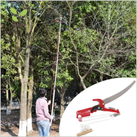 SFoarfeca cu cioc si lama fierastrau de taiat la inaltime [5]