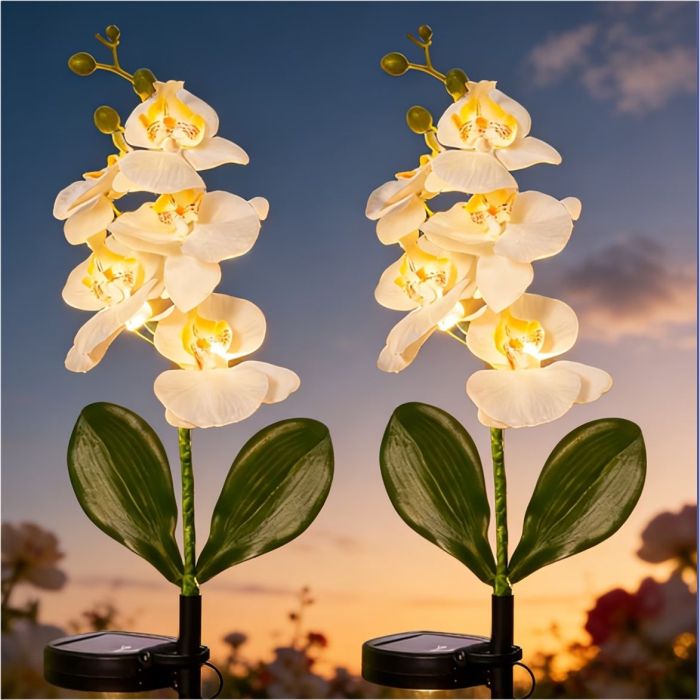 Decoratiuni solare luminoase - Orhidee [2]