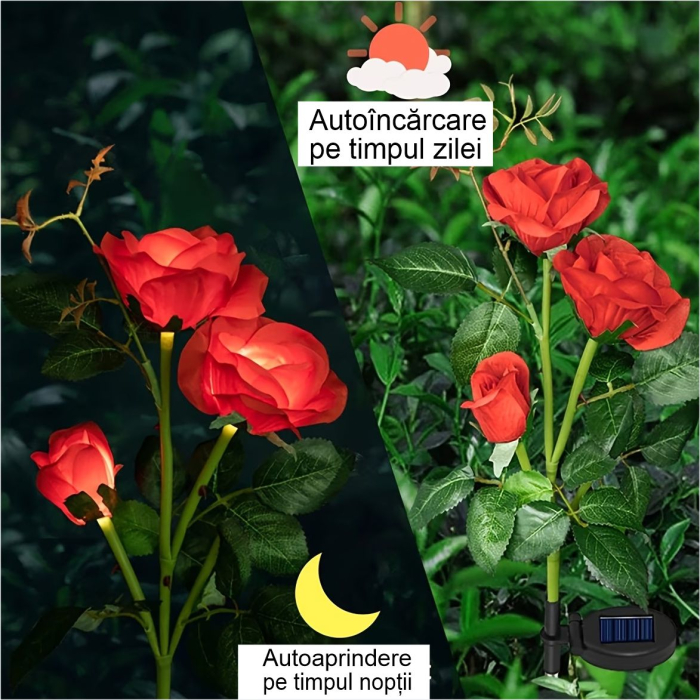 Decoratiuni solare luminoase - Trandafiri [2]