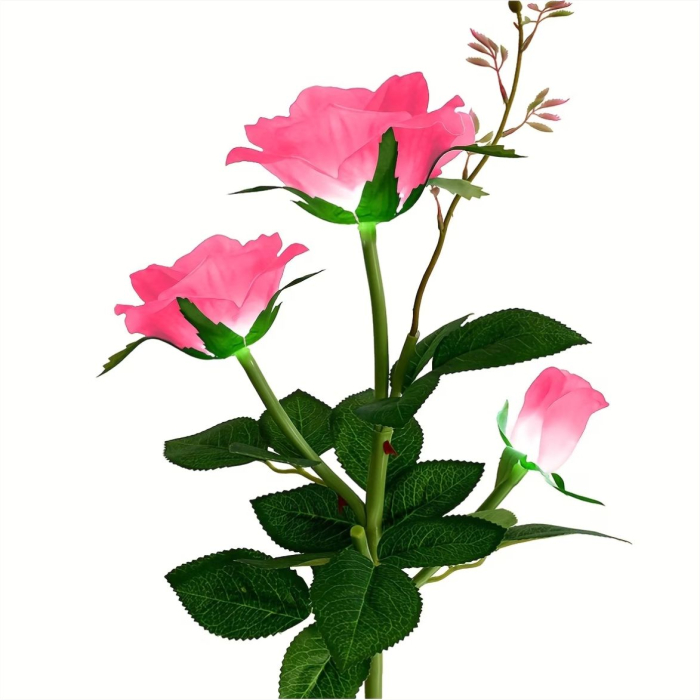 Decoratiuni solare luminoase - Trandafiri [8]