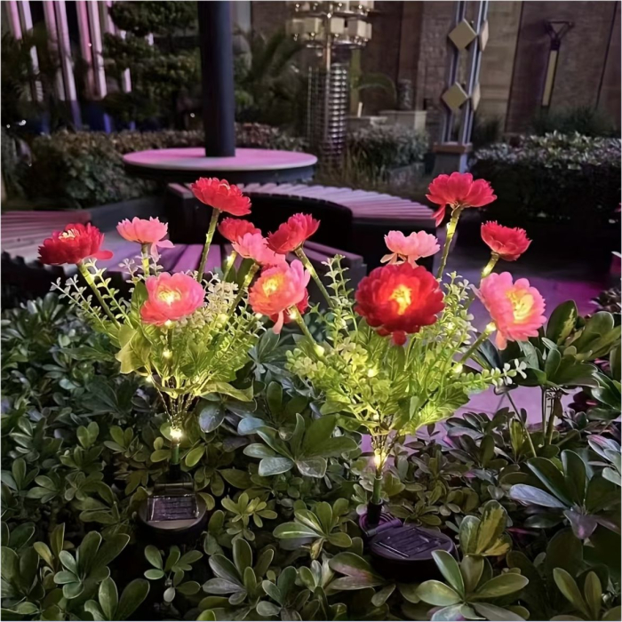 Decoratiuni solare luminoase - Bujori [3]