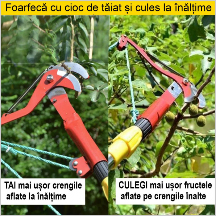 Foarfeca cu cioc de taiat la inaltime, cu lame de otel, arc si scripete [4]