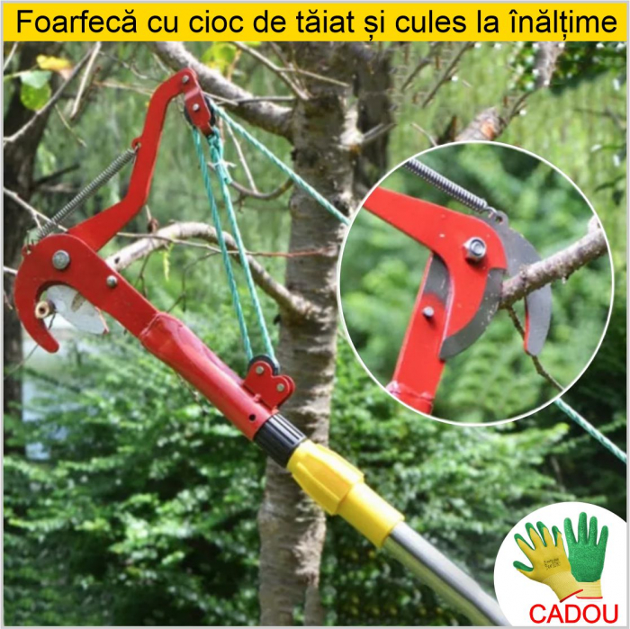 Foarfeca cu cioc de taiat la inaltime, cu lame de otel, arc si scripete [2]