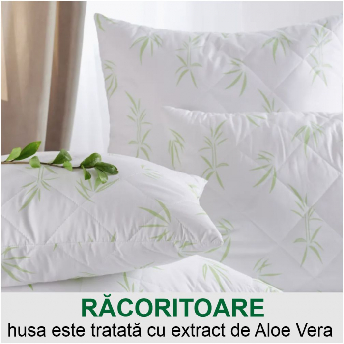 Set 2 perne cu Aloe Vera (2 buc 70*70 cm la 149 lei) [2]