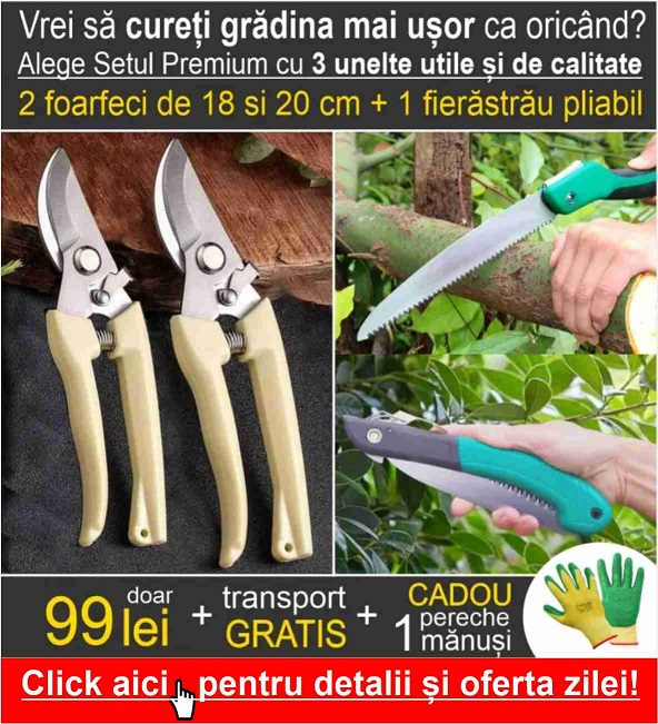 Set Premium 3 unelte: 2 foarfeci cu lame de otel de 18 si 20 cm + 1 fietrastrau pliabil [7]