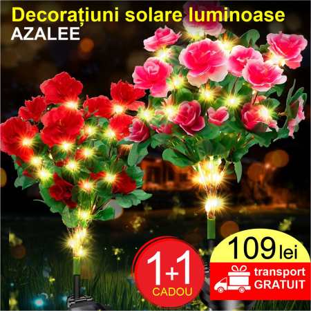 Decoratiuni solare luminoase - Azalee [1]