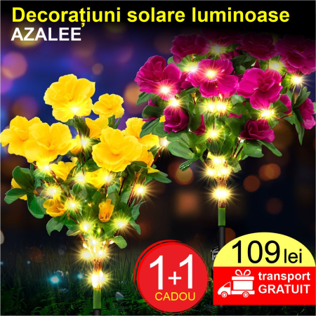 PRODUSE GRADINA - Decoratiuni solare luminoase - Azalee