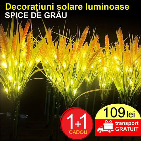 PRODUSE GRADINA - Decoratiuni solare luminoase - Spice de grau