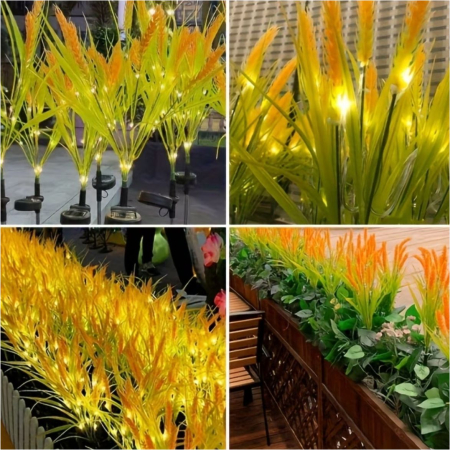 Decoratiuni solare luminoase - Spice de grau [4]