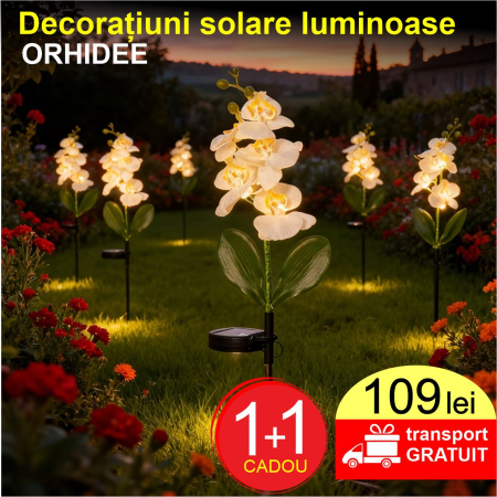 PRODUSE GRADINA - Decoratiuni solare luminoase - Orhidee