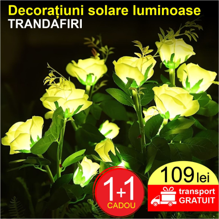PRODUSE GRADINA - Decoratiuni solare luminoase - Trandafiri