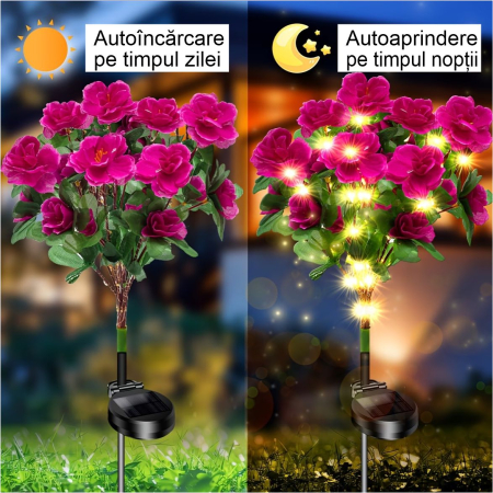 Decoratiuni solare luminoase - Azalee [2]