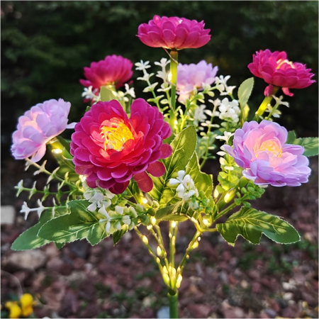 Decoratiuni solare luminoase - Bujori [3]