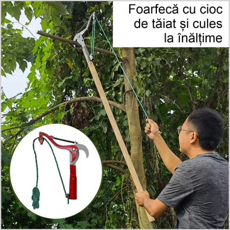 PRODUSE GRADINA - Foarfeca cu cioc de taiat la inaltime, cu lame de otel, arc si scripete