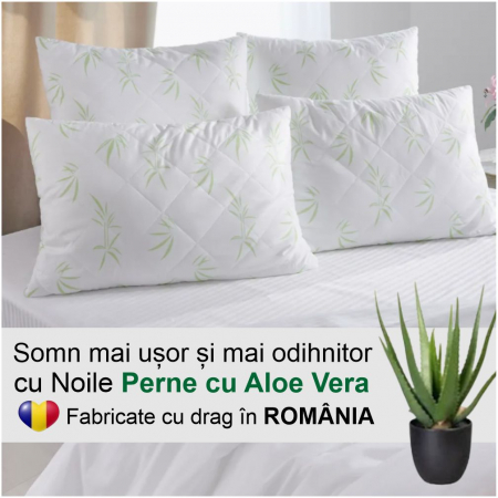 PERNE - Set 2 perne cu Aloe Vera (2 buc 70*70 cm la 149 lei)