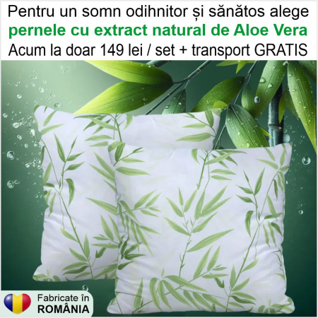 PERNE - Set 2 perne cu Aloe Vera (2 buc 70*70 cm la 149 lei)
