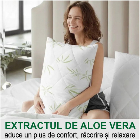 Set 2 perne cu Aloe Vera (2 buc 70*70 cm la 149 lei) [2]