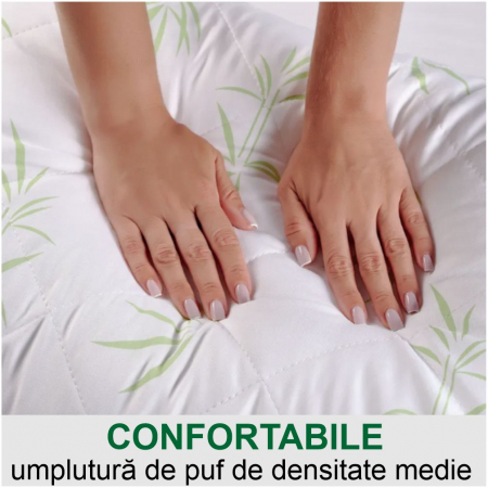 Set 2 perne cu Aloe Vera (2 buc 70*70 cm la 149 lei) [4]