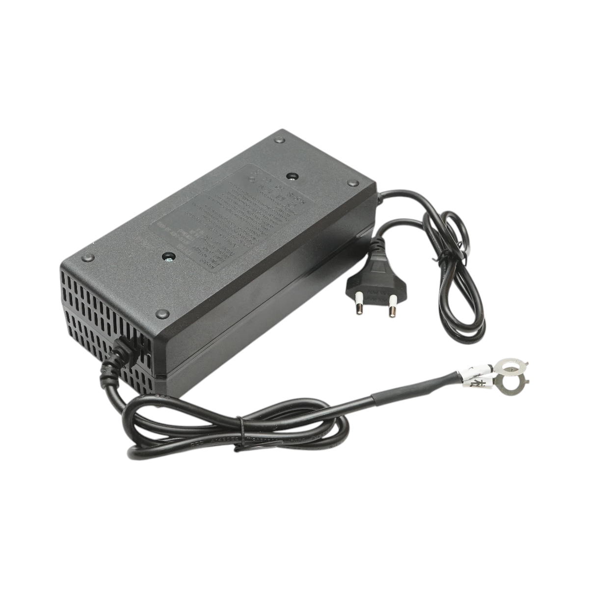 Incarcator smart baterie LiFePO4 12.8V 10A [2]