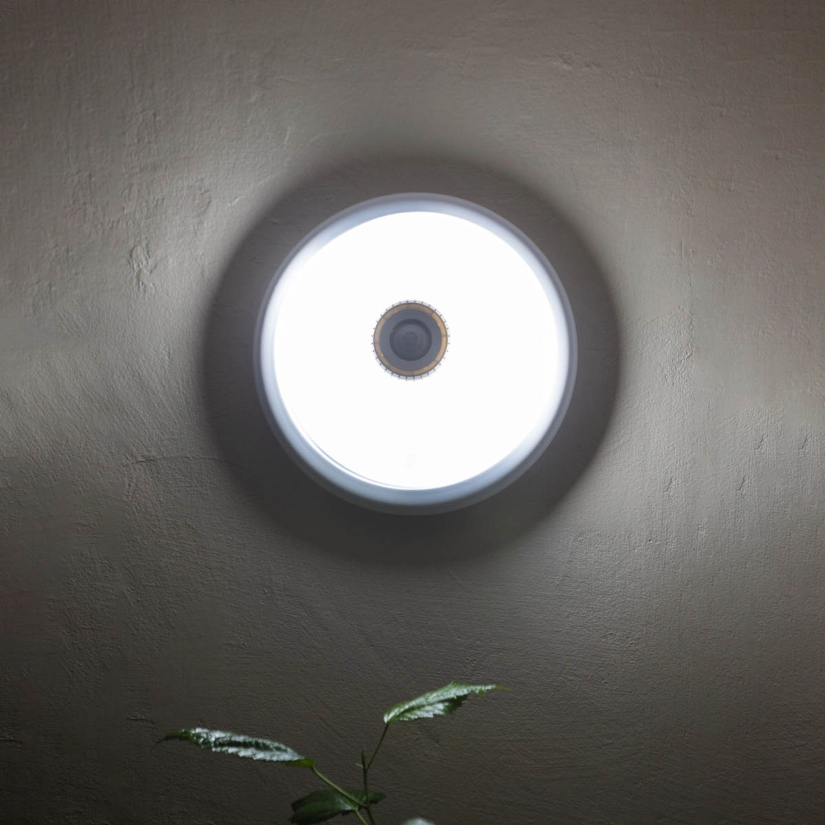 Plafoniera LED 12W, 220V, 360 grade cu senzor de miscare crepuscular 300x105mm Breckner Germany [4]