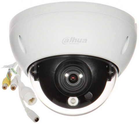 Cameră IP dome 2MP Full HD, IR 30m, PoE, WizMind, 2.8mm [1]