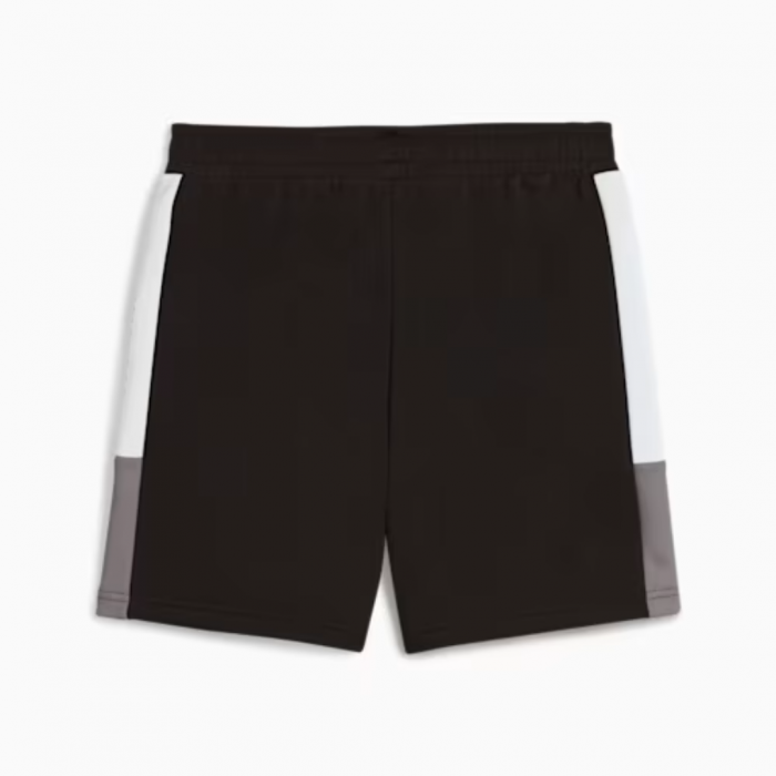 ESS BLOCK Shorts TR B PUMA Black 685821-01 [2]