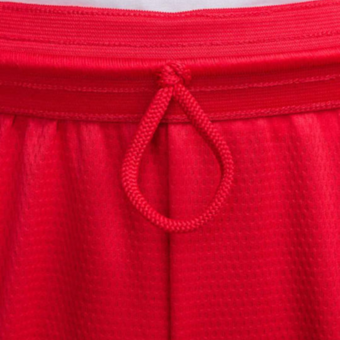 M NK DF ICON 8IN SHORT DV9524-658 [2]