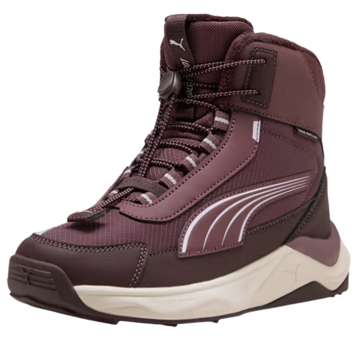 Puma Evolve 2.0 Boot JR Rich Cocoa-Powde 313808-02 [3]