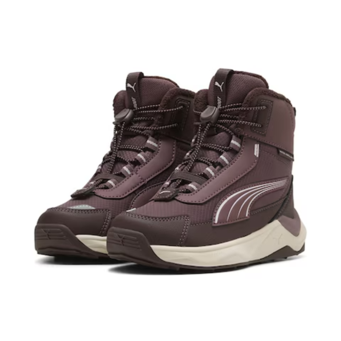 Puma Evolve 2.0 Boot PS Rich Cocoa-Powde 313809-02 [4]