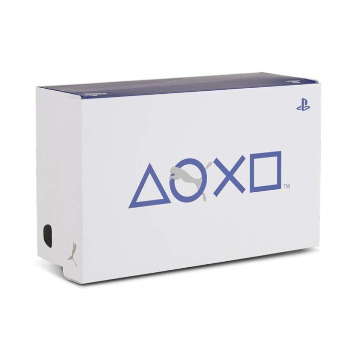 RS-X PLAYSTATION Jr Glacial Gray-Blue Sk 396657-01 [4]