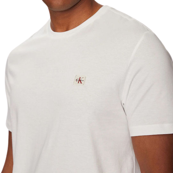 SS BADGE 30S JERSEY CLASSIC TEE LV04RC272G-YAF [2]