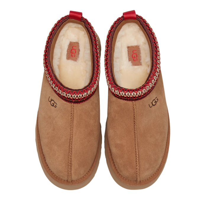 Tazz II - Castaniu (Chestnut) 1174471-CHE [5]