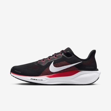 AIR ZOOM PEGASUS 41 FD2722-003 [1]