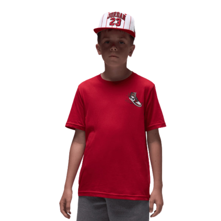 TRICOU - JDB AIR JORDAN HAS LANDED SS T 95F279-H15