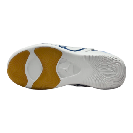 JORDAN TATUM 1 (GS) DX5359-400 [1]