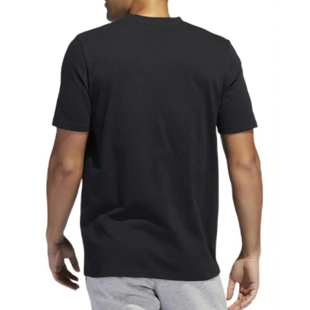 M Brush G T HE4794 [1]