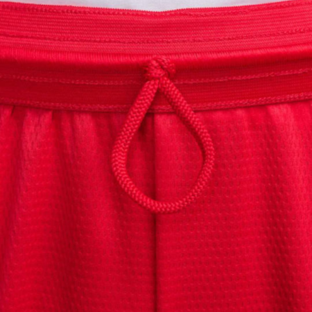 M NK DF ICON 8IN SHORT DV9524-658 [1]