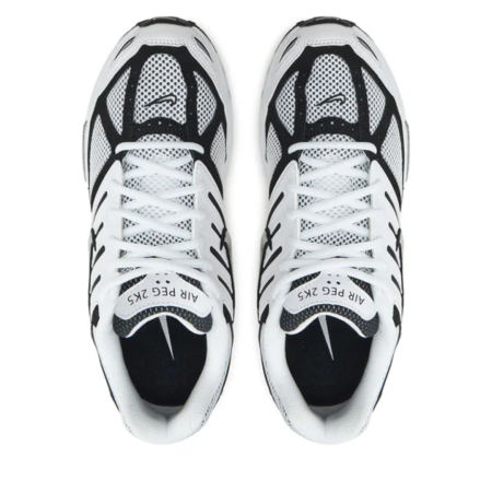 NIKE AIR PEG 2K5 FJ1909-100 [3]